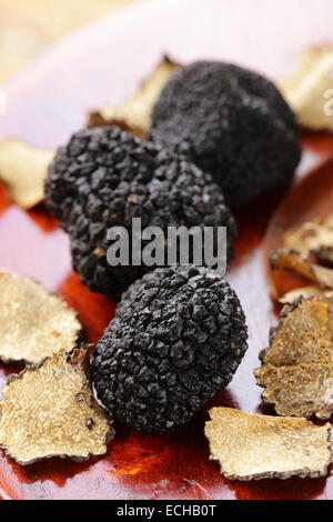 teure seltene schwarze Trüffel-Pilz - Gourmet-Gemüse Stockfoto