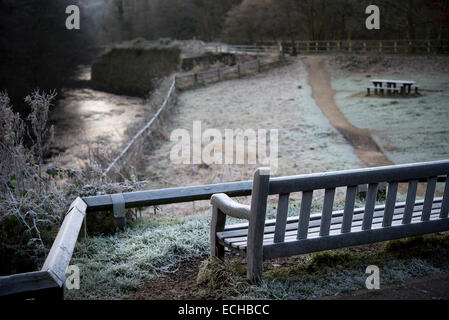 Leere Bank an einem frostigen Morgen am Etherow Landschaftspark, Cheshire. Stockfoto
