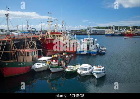 Angeln, Boote und Fischkutter vertäut im Hafen von Killybegs, County Donegal, Irland. Stockfoto