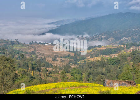 Sanfte Hügel in Nagarpot, Nepal Stockfoto