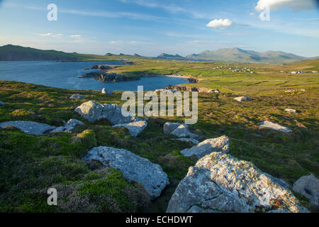 Felsbrocken unter Brandon Mountain, Clogher Head, die Halbinsel Dingle, County Kerry, Irland. Stockfoto