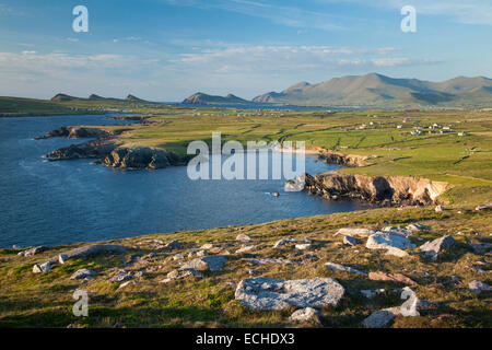 Blick auf Brandon Mountain und die Dingle-Halbinsel von Clogher Head, County Kerry, Irland. Stockfoto