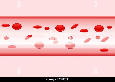 Blick auf Strom von Zellen des Blutes Stockfoto