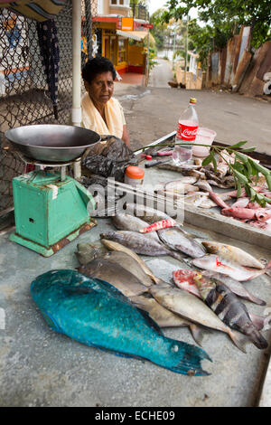 Mauritius, Mahebourg, Frau verkaufen frisch gefangen Riff-Fischen am Straßenrand Stall Stockfoto