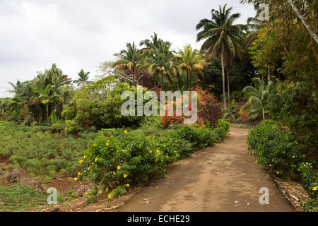 Mauritius, Mahebourg, Straße nach Biscuiterie Rault Maniok Biscuit Factory durch Garten Stockfoto