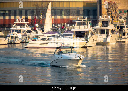 Yacht segeln aus Olympischen Segelzentrum Qingdao Stockfoto