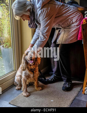 Frauen immer bereit, den Hund für einen Spaziergang zu sprechen, ist sie bei der Montage der Hunde führen. Stockfoto