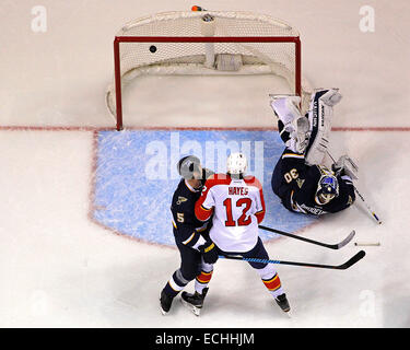 St. Louis, MO, USA. 8. Dezember 2014. St. Louis Blues Torhüter Martin Brodeur (30) ermöglicht ein Ziel als Verteidiger Barret Jackman (5) und Florida Panthers Rechtsaußen Jimmy Hayes (12) während der dritten Periode des Spiels zwischen den St. Louis Blues und die Florida Panthers im Scottrade Center in St. Louis, Missouri. Die Blues besiegten die Panthers 4-2. © Csm/Alamy Live-Nachrichten Stockfoto
