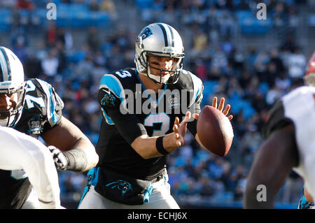 Charlotte, NC, USA. 14. Dezember 2014. Carolina Panthers Quarterback Derek Anderson #3 nimmt die Snap in einem NFL Spiel gegen die Tampa Bay Buccaneers bei Bank of America Stadium am 14. Dezember 2014, in Charlotte, North Carolina. Die Panthers besiegten die Buccaneers 19-17. Margaret Bowles/CSM/Alamy Live-Nachrichten Stockfoto