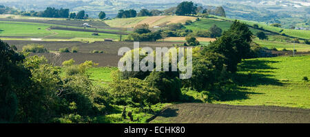 Landschaft in der Landschaft von Costa Rica. Stockfoto