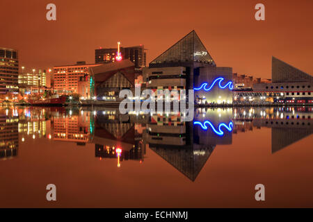 Skyline spiegelt sich in Baltimore Inner Harbor Stockfoto