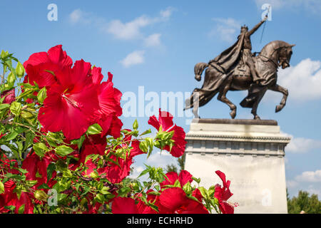 Saint St. Louis Missouri, Forest Park, städtischer öffentlicher Park, Art Hill, Saint Louis Art Museum, Nordeingang, Gebäude, außen, Garten, tiefes Rot, Hibiskus, Blumen Stockfoto