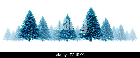 Blaue Kiefer Baum Hintergrund saisonale Winterurlaub design Element Grenze mit einer Gruppe von Weihnachtsbäumen auf einem weißen Hintergrund als Symbol mit Nebel und Schnee kühlen festliche immergrünen Wald für die Ferienzeit, einschließlich Neujahr. Stockfoto