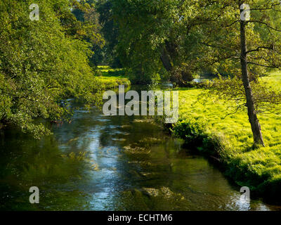 Fluss Wye fließt durch die Landschaft in der Nähe von Haddon Hall in der Nähe von Bakewell im Peak District Derbyshire Dales England UK Stockfoto