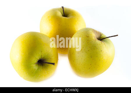 Goldene Äpfel isoliert auf weiss Stockfoto