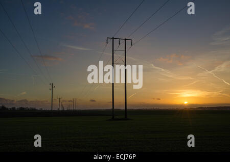 Stromleitungen Zeilen in eine offene Kulturlandschaft bei Sonnenuntergang Stockfoto