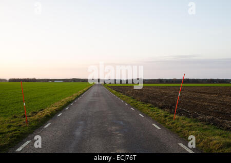 Geraden Landstraße durch Farmland am späten Abend Stockfoto