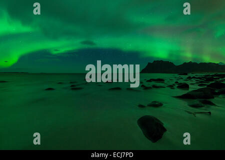 Nordlicht - Aurora Borealis glänzen im Himmel über Uttakleiv Strand, Leknes, Lofoten Inseln, Norwegen Stockfoto