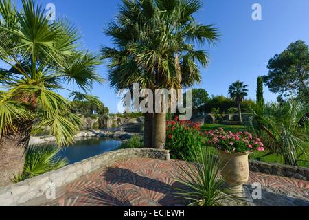 Frankreich, Herault, Servianischen, Saint Adrien Hotelgarten, klassifiziert als Jardin Remarquable (bemerkenswert Garten), Landschaftsgarten angelegt in einer Karriere, die aus dem Mittelalter, gefüttert mit Palme mit einem Hintergrund Wasser gegangen Stockfoto