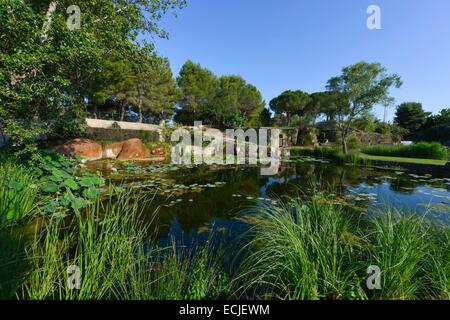 Frankreich, Herault, Servianischen, Saint Adrien Hotelgarten, eingestuft als Jardin Remarquable (bemerkenswert Garten), angelegten Garten angelegt in einer Karriere, die aus dem Mittelalter, Brunnen von Philia mit einem Buddha schlief auf dem Wasser Stockfoto