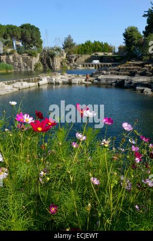 Frankreich, Herault, Servianischen, Saint Adrien Hotelgarten, eingestuft als Jardin Remarquable (bemerkenswert Garten), angelegten Garten in einer Karriere(Steinbruch) aus dem Mittelalter, das Blumenbeet vor eine Wasserfläche angelegt Stockfoto