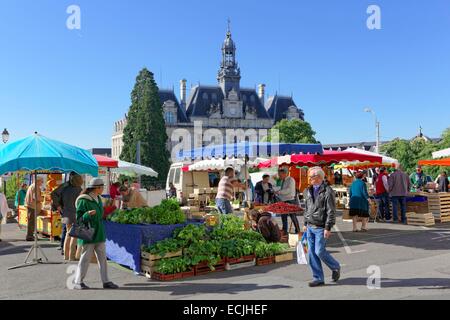 Frankreich, Haute-Vienne, Limoges, Markt, Haute Vienne Platz, Rathaus Stockfoto