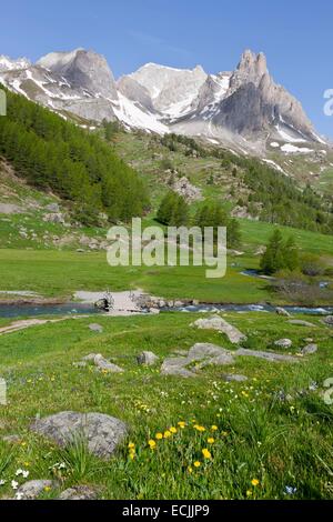 Frankreich, Hautes-Alpes, Nevache La Claree Tal, mit Blick auf die Pointe Cerces (3097m) Stockfoto