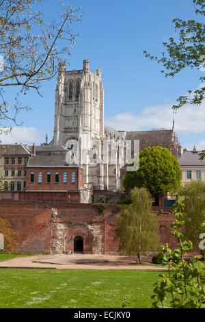 Pas-De-Calais, Frankreich Saint Omer, Kathedrale Notre-Dame Stockfoto