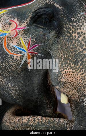 Indien, Bihar, Patna Region, Sonepur Viehmarkt, der Elefant-bazar Stockfoto