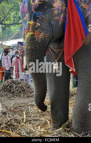 Indien, Bihar, Patna Region, Sonepur Viehmarkt, der Elefant-bazar Stockfoto