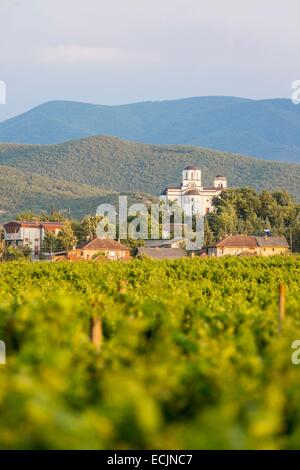 Republik Mazedonien, Weinregion Demir Kapija Stockfoto