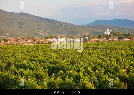 Republik Mazedonien, Weinregion Demir Kapija Stockfoto