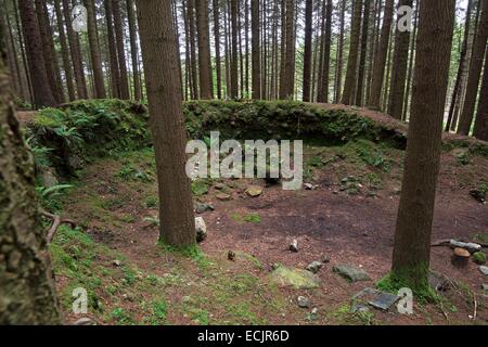 Großbritannien, Nordirland, County Down, Bryansford, den grünen und lebendigen Tollymore Forest Park ist, wo Theon ist durch Ramsay Schnee gestielt, und wurde verwendet, um die verschneite Länder zwischen Wand und Winterfell darstellen Stockfoto