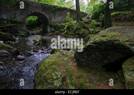 Großbritannien, Nordirland, County Down, Bryansford, den grünen und lebendigen Tollymore Forest Park ist, wo Theon ist durch Ramsay Schnee gestielt, und wurde verwendet, um die verschneite Länder zwischen Wand und Winterfell darstellen Stockfoto