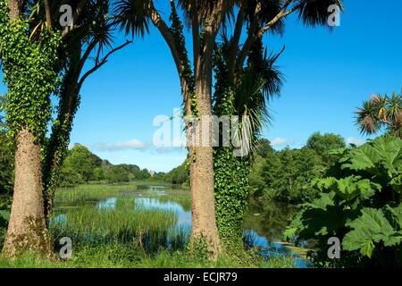 Großbritannien, Nordirland, County Down, Strangford, Castle Ward Immobilien Stockfoto