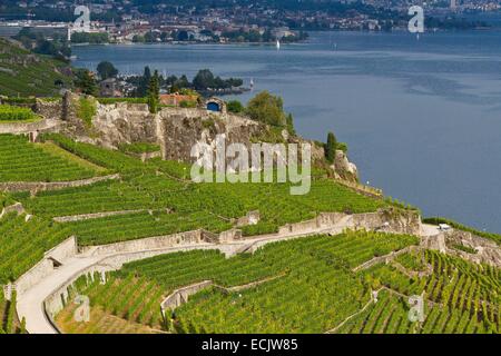 Schweiz, Kanton Waadt, Lavaux Weinbergterrassen als Weltkulturerbe der UNESCO aufgeführt, es erstreckt sich von Montreux nach Lausanne auf 32km entlang des Genfer Sees und 850ha Stockfoto