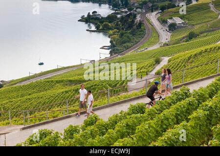 Schweiz, Kanton Waadt, Lavaux Weinbergterrassen als Weltkulturerbe der UNESCO aufgeführt, es erstreckt sich von Montreux nach Lausanne auf 32km entlang des Genfer Sees und 850ha Stockfoto