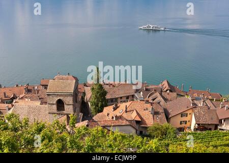 Schweiz, Kanton Waadt, Lavaux Weinbergterrassen als Weltkulturerbe der UNESCO aufgeführt, es erstreckt sich von Montreux nach Lausanne auf 32km entlang des Genfer Sees und 850ha, das Dorf von Saint-Saphorin Stockfoto