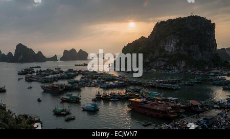 Vietnam, Provinz Quang Ninh, Ha Long Bay, Weltkulturerbe der UNESCO, Angelboote/Fischerboote im Hafen von Cai Rong Stockfoto