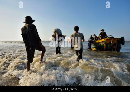 Vietnam, Ba Rai Provinz, Long Hai entladen Angelboote/Fischerboote am Strand von Long Hai Stockfoto