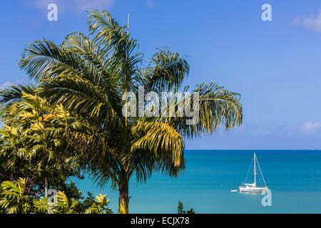 Mahault Bucht, mit Blick auf das Karibische Meer, Basse-Terre, Guadeloupe (Französische Antillen), Frankreich Stockfoto