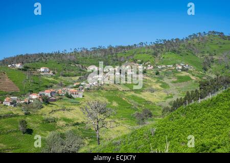 Portugal, Madeira Insel, Westküste, Umgebung von Ponta do Pargo Stockfoto