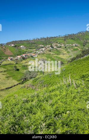 Portugal, Madeira Insel, Westküste, Umgebung von Ponta do Pargo Stockfoto