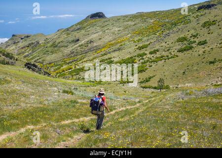 Portugal, Madeira Insel, Wandern Sie entlang der Levada da Negra ab Pico Arieiro Stockfoto