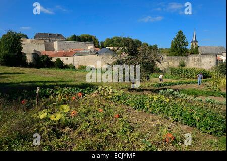 Frankreich, Mosel, Rodemack, Les Plus Beaux Dörfer de France (The Most Beautiful Dörfer Frankreichs), gekennzeichnet paar Pflege seines Gartens außerhalb der Mauern, die Reste der Burg im Hintergrund Stockfoto