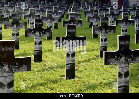 Frankreich, Haute-Marne, Montier En Der, Friedhof Exposition über das Verschwinden des letzten Gorilla Fotografen Gilles Martin Stockfoto