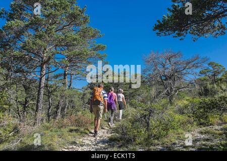 Frankreich, Drome, zahlt Diois, Wandern im Tal Oule, Drome Provenτale Stockfoto