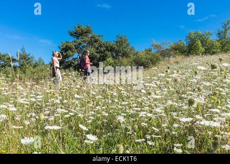 Frankreich, Drome, zahlt Diois, Wandern im Tal Oule, Drome Provenτale Stockfoto