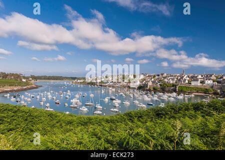 Frankreich, Finistere, Iroise Sea, Parc Naturel Regional d'Armorique (Armoric regionaler Naturpark), Le Conquet Stockfoto