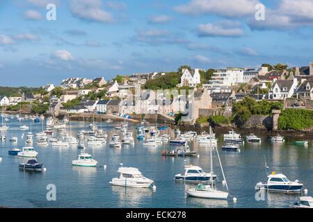 Frankreich, Finistere, Iroise Sea, Parc Naturel Regional d'Armorique (Armoric regionaler Naturpark), Le Conquet Stockfoto